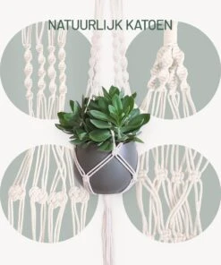 Gadgy Plantenhanger Macramé 3 Stuks - Luxe Gevlochten Touw Katoen - Plantenpot Ophangen - Hangpot -Tuinverzorgings Winkel 1000x1200 9