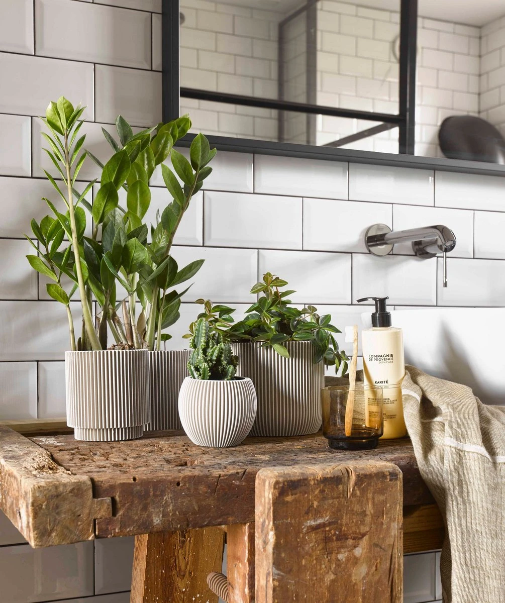 Capi Europe - Set van 4 - Bloempot binnen - Groove - - Ivoor - Bloempot voor binnen - BOX-BGVI-4 Capi Europe - Set Van 4 - Bloempot Binnen - Groove - - Ivoor - Bloempot Voor Binnen - BOX-BGVI-4 -Tuinverzorgings Winkel 1005x1200 1