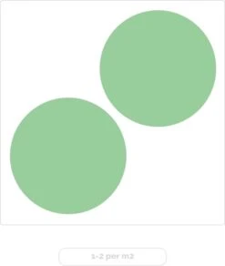 Eucalyptus Gunnii - Gomboom - Heester - Groenblijvend - ⌀17 Cm - 40-50 Cm 10 Eucalyptus Gunnii - Gomboom - Heester - Groenblijvend - ⌀17 Cm - 40-50 Cm -Tuinverzorgings Winkel 1016x1200 2