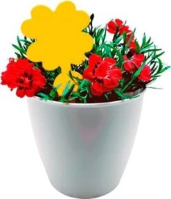 Plak Klavertjes Tegen Rouwvliegjes 48 Stuks - Rouwvliegjes Bestrijden - Varenrouwmug - Plakstrips - Vangkaarten - Vangplaten - Insectenval - Insectenvanger 6 Plak Klavertjes Tegen Rouwvliegjes 48 Stuks - Rouwvliegjes Bestrijden - Varenrouwmug - Plakstrips - Vangkaarten - Vangplaten - Insectenval - Insectenvanger -Tuinverzorgings Winkel 1031x1200 3