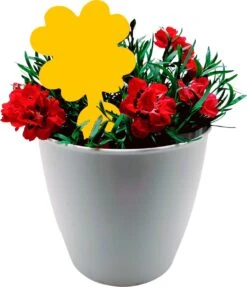 Plak Klavertjes Tegen Rouwvliegjes 15 Stuks - Rouwvliegjes Bestrijden - Varenrouwmug - Plakstrips - Vangkaarten - Vangplaten - Insectenval - Insectenvanger 6 Plak Klavertjes Tegen Rouwvliegjes 15 Stuks - Rouwvliegjes Bestrijden - Varenrouwmug - Plakstrips - Vangkaarten - Vangplaten - Insectenval - Insectenvanger -Tuinverzorgings Winkel 1032x1200 1