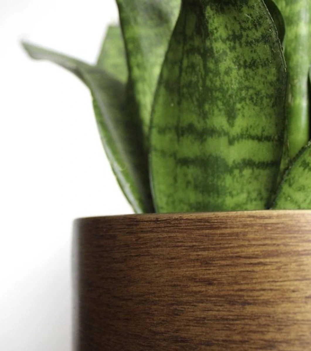 Capi Europe - Bloempot bol Retro XL - 42x41 - Goud - Bloempot voor binnen - Opening ⌀36 - RTG933 Capi Europe - Bloempot Bol Retro XL - 42x41 - Goud - Bloempot Voor Binnen - Opening ⌀36 - RTG933 -Tuinverzorgings Winkel 1061x1200 7