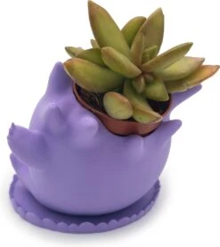 Azhora Pokémon Gengar Bloempot - Inclusief Opvangschaal - Lichtpaars -Tuinverzorgings Winkel 1069x1200 2