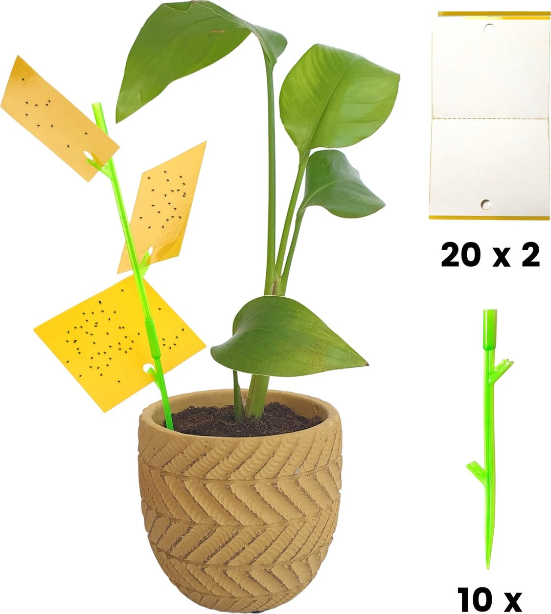 Aniway® - Fruitvliegjes vanger - 40 stuks (20 x 2) - Rouwvliegjes bestrijden - Rouwvliegjes - Sterke kleefkracht - Voor buiten en binnen Aniway® - Fruitvliegjes Vanger - 40 Stuks (20 X 2) - Rouwvliegjes Bestrijden - Rouwvliegjes - Sterke Kleefkracht - Voor Buiten En Binnen -Tuinverzorgings Winkel 1078x1200 1