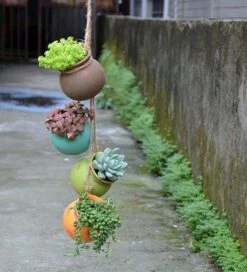 Plantenhangers - 4 Bloempotjes Aan Een Touw - Hangpotten Voor Binnen En Buiten - Hangpot Schutting - 4 Kleuren Incl. Touw -Tuinverzorgings Winkel 1090x1200 3