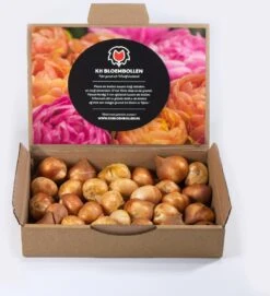 25 Tulpenbollen Chic Mix - Bloembollen Mix - Tulpen Mix - Bollen - Bulbs - Tulip - Flowerbulbs - Flowers - Tuin Tulpen - Bloemen 6 25 Tulpenbollen Chic Mix - Bloembollen Mix - Tulpen Mix - Bollen - Bulbs - Tulip - Flowerbulbs - Flowers - Tuin Tulpen - Bloemen -Tuinverzorgings Winkel 1092x1200