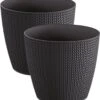 Prosperplast Set Van 2x Stuks Stijlvolle Plantenpotten/bloempotten Kunststof Dia 19 Cm En Hoogte 17 Cm In Het Antraciet Grijs Voor Binnen/buiten -Tuinverzorgings Winkel 1095x1200 5