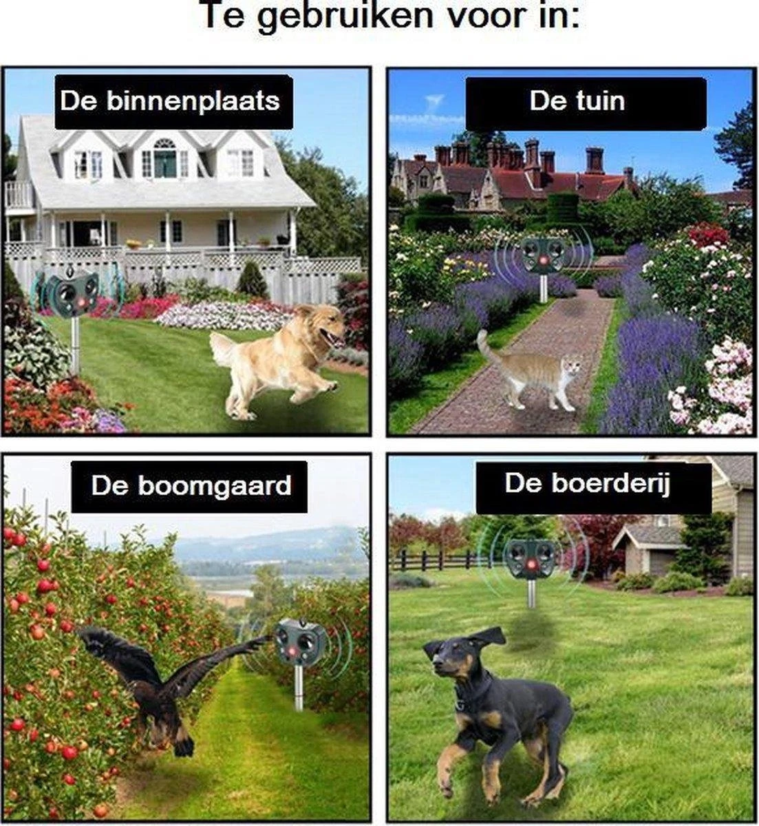 Dentools Ultrasone Kattenverjager - Kattenschrik - Zonneenergie - Marterverjager - Op batterijen - Met adapter - Katten afweermiddel - Tuin - Ongedierte verjager Dentools Ultrasone Kattenverjager - Kattenschrik - Zonneenergie - Marterverjager - Op Batterijen - Met Adapter - Katten Afweermiddel - Tuin - Ongedierte Verjager -Tuinverzorgings Winkel 1103x1200 2