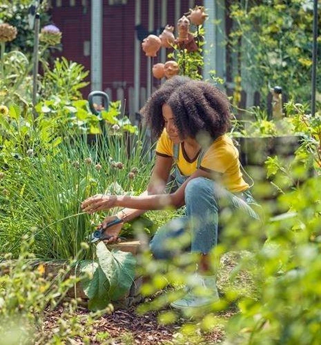 GARDENA - ExpertCut - Snoeischaar - 22 diameter tak GARDENA - ExpertCut - Snoeischaar - 22 Diameter Tak -Tuinverzorgings Winkel 1116x1200 1