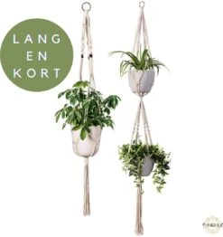 Plantenhanger Macrame Set Van 2 - Plantenhanger Met Ruimte Voor 3 Potten - Luxe Gevlochten Touw 100% Katoen - Duurzaam - Plantenbakken - Bloempotten - Macramé Stijl Hanger Voor Bloempotten - Hangpot - Fienosa 4 Plantenhanger Macrame Set Van 2 - Plantenhanger Met Ruimte Voor 3 Potten - Luxe Gevlochten Touw 100% Katoen - Duurzaam - Plantenbakken - Bloempotten - Macramé Stijl Hanger Voor Bloempotten - Hangpot - Fienosa -Tuinverzorgings Winkel 1131x1200 7