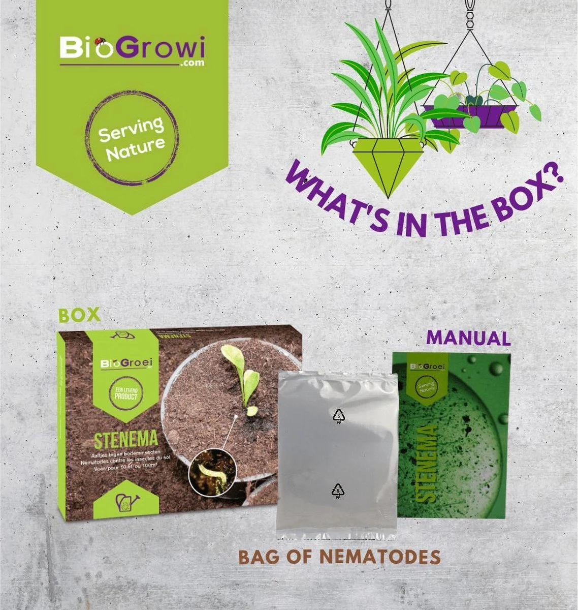 Aaltjes tegen Rouwvliegjes | Stenema 10m² | Rouwvliegen bestrijden Aaltjes Tegen Rouwvliegjes | Stenema 10m² | Rouwvliegen Bestrijden -Tuinverzorgings Winkel 1138x1200 10