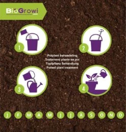 Stenema 100m² | Aaltjes Tegen Rouwvliegjes | Tegen Larven Van Rouwvliegen | Rouwvliegjes Bestrijden | Varenrouwmuggen | In Planten | 100% Natuurlijke Biologische Bestrijding -Tuinverzorgings Winkel 1138x1200 14