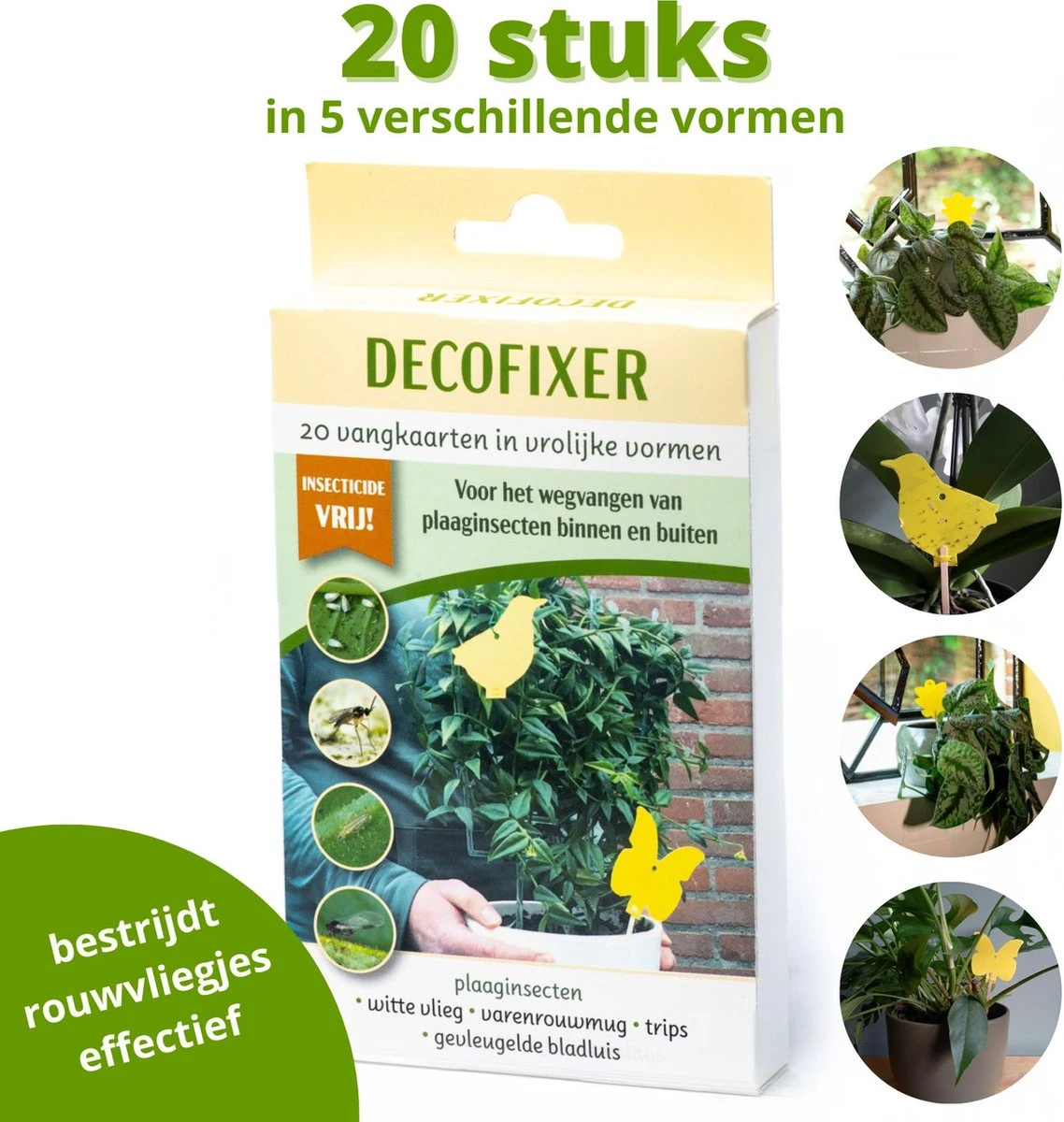 Decofixer - vliegjes in plant vanger - rouwvliegjes bestrijden - varenrouwmug plakstrips - plakkaartjes - vangplaatjes - potgrondvliegjes -20 stuks Decofixer - Vliegjes In Plant Vanger - Rouwvliegjes Bestrijden - Varenrouwmug Plakstrips - Plakkaartjes - Vangplaatjes - Potgrondvliegjes -20 Stuks -Tuinverzorgings Winkel 1138x1200 2