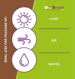 Biogroei Nettect - Insectennet - Insectengaas Tegen Koolvliegen En Andere - 210 Cmx450 Cm -Tuinverzorgings Winkel 1138x1200 3