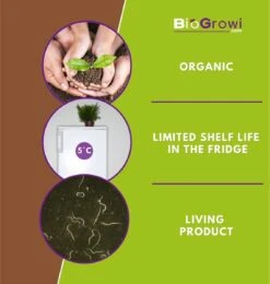 Aaltjes Tegen Rouwvliegjes | Stenema 10m² | Rouwvliegen Bestrijden 4 Aaltjes Tegen Rouwvliegjes | Stenema 10m² | Rouwvliegen Bestrijden -Tuinverzorgings Winkel 1138x1200 9