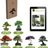 Bonsai Zaden 6 Soorten Incl. E-Book - Kweekset - Boompje In Pot - Kamerplanten – Kerstcadeau -Tuinverzorgings Winkel 1143x1200 10