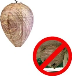 Wespenverjager – Wespen Verjagen – Bijenverjager – Wespennest – Dummy Wespennest - Wespinator – 2 Stuks -Tuinverzorgings Winkel 1145x1200 3