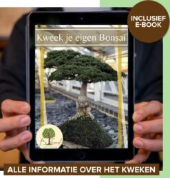 B-seed Starters Kit Incl. E-Book Bonsai Zaden Kweken - Boompje In Pot - Kamerplanten - Kweekset - Geschenkset - Kerstcadeau -Tuinverzorgings Winkel 1151x1200 5