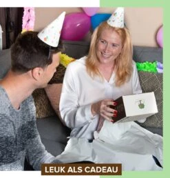 B-seed Starters Kit Incl. E-Book Bonsai Zaden Kweken - Boompje In Pot - Kamerplanten - Kweekset - Geschenkset - Kerstcadeau -Tuinverzorgings Winkel 1151x1200 7