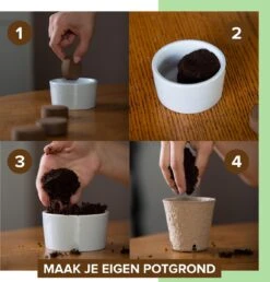 B-seed Starters Kit Incl. E-Book Bonsai Zaden Kweken - Boompje In Pot - Kamerplanten - Kweekset - Geschenkset - Kerstcadeau -Tuinverzorgings Winkel 1151x1200 8