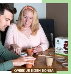 B-seed Starters Kit Incl. E-Book Bonsai Zaden Kweken - Boompje In Pot - Kamerplanten - Kweekset - Geschenkset - Kerstcadeau -Tuinverzorgings Winkel 1152x1200 2