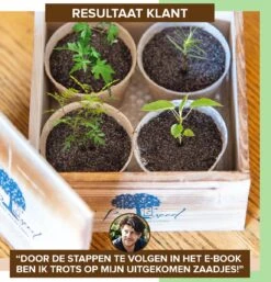 B-seed Starters Kit Incl. E-Book Bonsai Zaden Kweken - Boompje In Pot - Kamerplanten - Kweekset - Geschenkset - Kerstcadeau -Tuinverzorgings Winkel 1152x1200 3