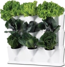 Minigarden Vertical Verticale Tuin - Wit -Tuinverzorgings Winkel 1157x1200 8