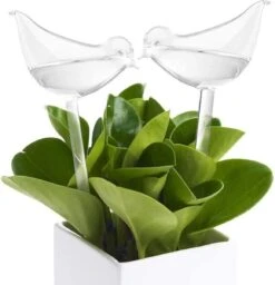 Luxe Planten Waterdruppelaar - Waterbol Vogel - Watergever - Watergeefsysteem Voor Planten & Bloemen - 200ML - Set Van 2 -Tuinverzorgings Winkel 1160x1200 10