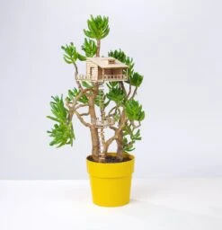 The Amazing Plant-hut | Miniature Treehouse Mini Boomhutje
