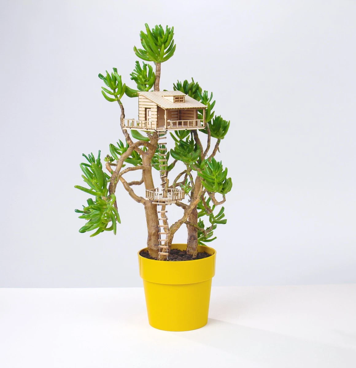 The Amazing Plant-hut | miniature treehouse mini boomhutje The Amazing Plant-hut | Miniature Treehouse Mini Boomhutje -Tuinverzorgings Winkel 1160x1200 5