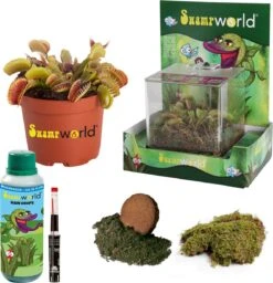 Swampworld Mini Terrarium Met LED Lamp - Vleesetende Plant - 1 Venus Vliegenvanger + Handige Watermeter - L12xB12xH15 Cm -Tuinverzorgings Winkel 1160x1200 7