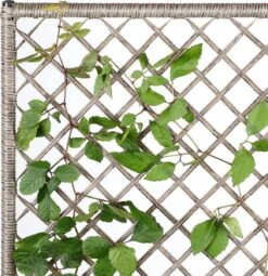 Casaria Polyrattan Bloembak – 3 Bakken Klimophek - Crème 6 Casaria Polyrattan Bloembak – 3 Bakken Klimophek - Crème -Tuinverzorgings Winkel 1163x1200 7