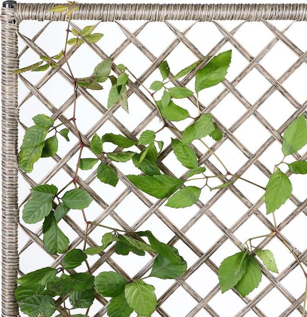 Casaria Polyrattan Bloembak – 3 Bakken Klimophek - Crème Casaria Polyrattan Bloembak – 3 Bakken Klimophek - Crème -Tuinverzorgings Winkel 1163x1200 7