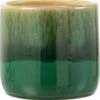 J-Line Bloempot Elise Keramiek Groen Large 2 J-Line Bloempot Elise Keramiek Groen Large -Tuinverzorgings Winkel 1182x1200 10