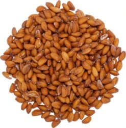 Into The Cycle Tuinkers Kiemzaden Biologisch 25 Gram Zakje NL-BIO-01 3 Into The Cycle Tuinkers Kiemzaden Biologisch 25 Gram Zakje NL-BIO-01 -Tuinverzorgings Winkel 1183x1200 4