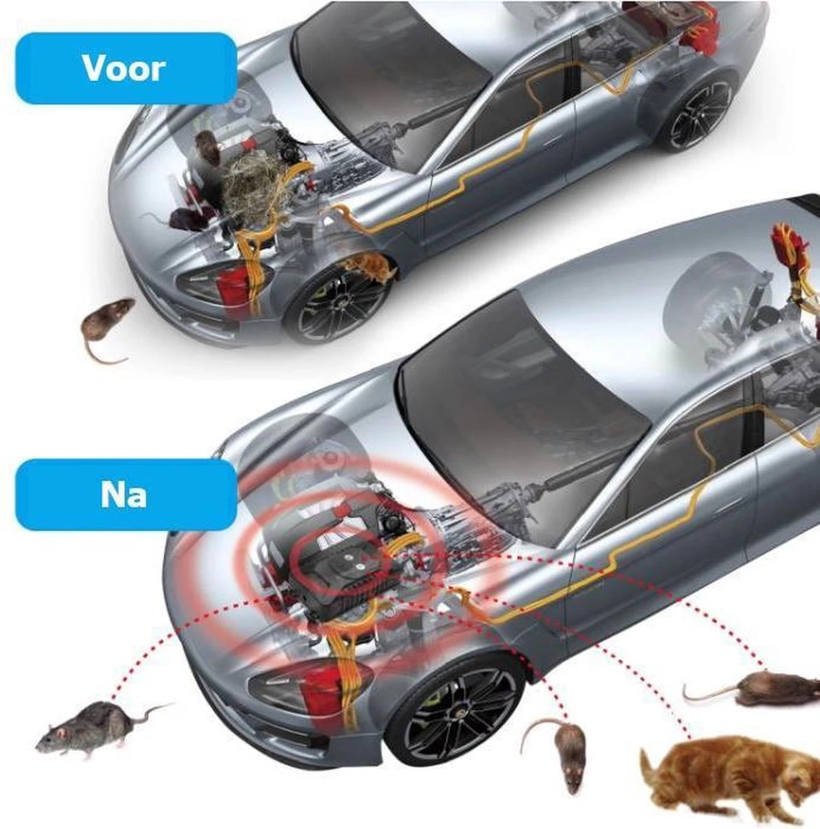 PestFender Marterverjager op batterij, accu of adaptor - Kattenverjager - Marterverjager - Marterverjager Auto - Muizenverjager - Indoor en outdoor ongedierte, ratten en muizen verjager - Waterbestendig ultrasone steenmarter wering - 1 stuk PestFender Marterverjager Op Batterij, Accu Of Adaptor - Kattenverjager - Marterverjager - Marterverjager Auto - Muizenverjager - Indoor En Outdoor Ongedierte, Ratten En Muizen Verjager - Waterbestendig Ultrasone Steenmarter Wering - 1 Stuk -Tuinverzorgings Winkel 1187x1200 5