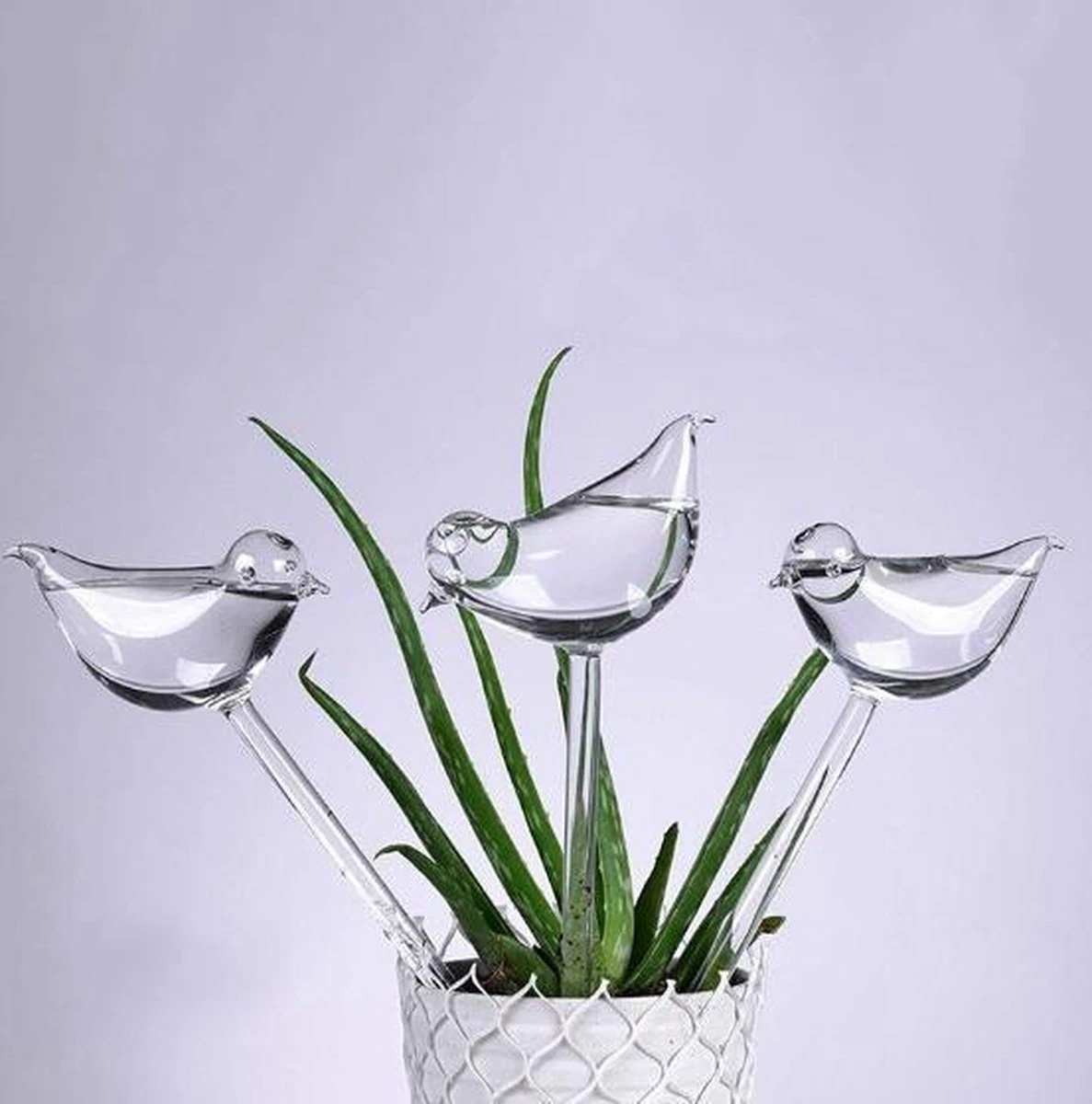 Waterdruppelaar Planten - vorm Vogel - Set van 3 Kunststof Druppelaars - 25cm Lengte - Genoeg water tijdens je vakantie Waterdruppelaar Planten - Vorm Vogel - Set Van 3 Kunststof Druppelaars - 25cm Lengte - Genoeg Water Tijdens Je Vakantie -Tuinverzorgings Winkel 1187x1200 6