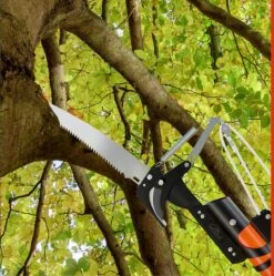 Gardebruk Takkenzaag Telescopisch - 2in1 Zaag & Snoeischaar - Oranje 14 Gardebruk Takkenzaag Telescopisch - 2in1 Zaag & Snoeischaar - Oranje -Tuinverzorgings Winkel 1189x1200 7