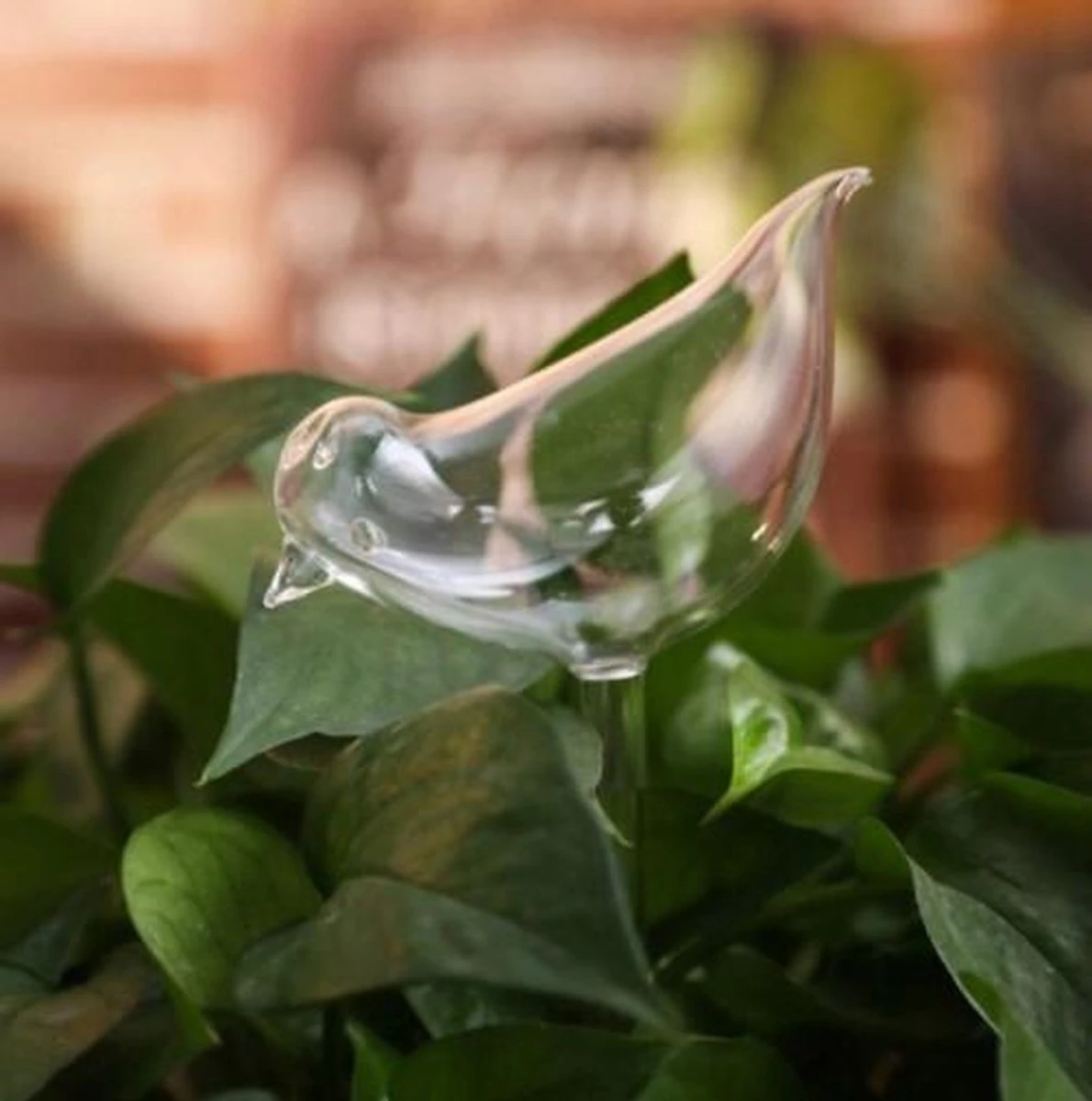 Waterdruppelaar Planten - vorm Vogel - Set van 3 Kunststof Druppelaars - 25cm Lengte - Genoeg water tijdens je vakantie Waterdruppelaar Planten - Vorm Vogel - Set Van 3 Kunststof Druppelaars - 25cm Lengte - Genoeg Water Tijdens Je Vakantie -Tuinverzorgings Winkel 1190x1200 4