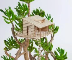 The Amazing Plant-hut | Miniature Treehouse Mini Boomhutje 4 The Amazing Plant-hut | Miniature Treehouse Mini Boomhutje -Tuinverzorgings Winkel 1200x1010 4