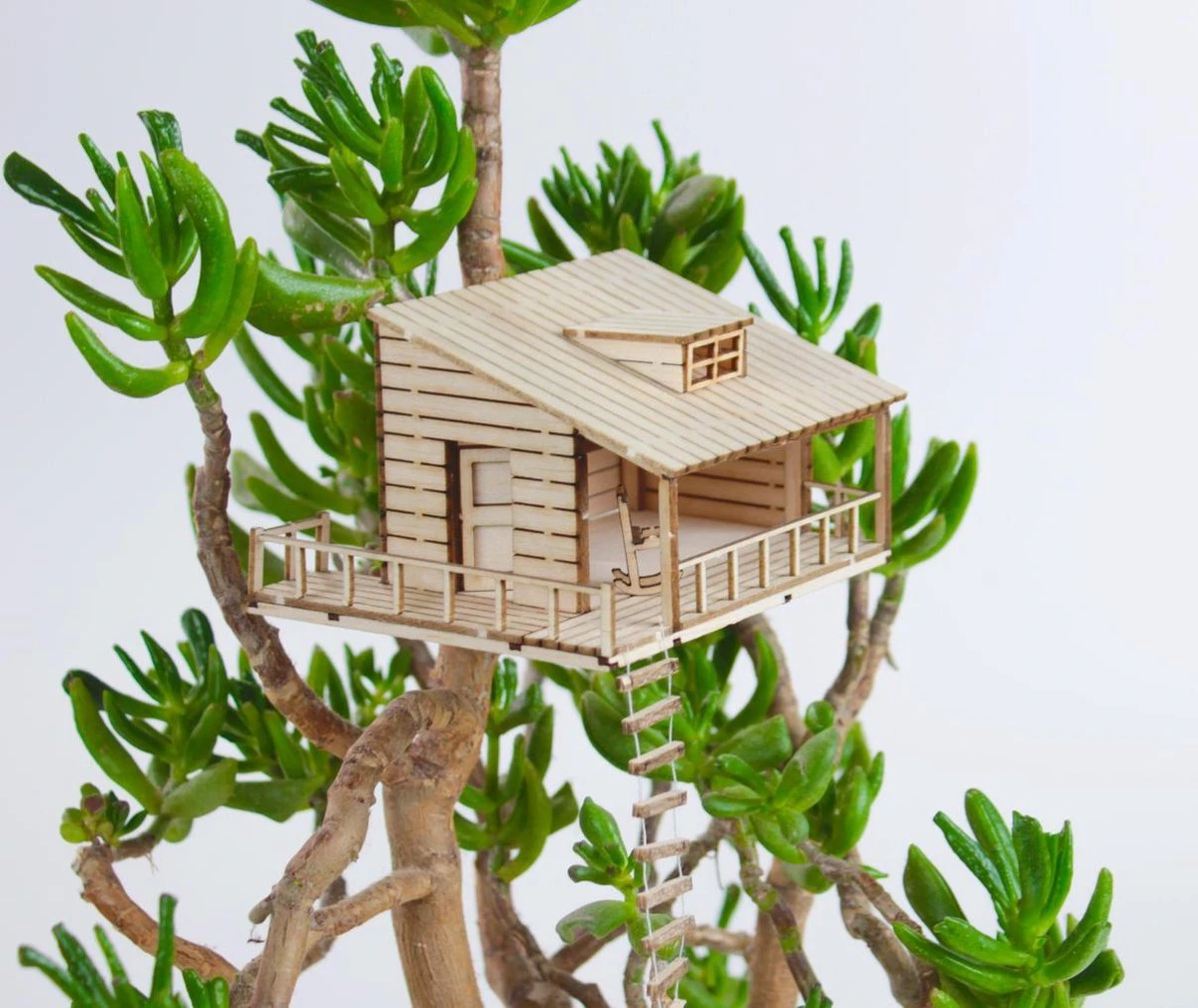 The Amazing Plant-hut | miniature treehouse mini boomhutje The Amazing Plant-hut | Miniature Treehouse Mini Boomhutje -Tuinverzorgings Winkel 1200x1010 4