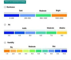 Merkloos Vochtmeter Planten Bodemvochtigheid 3-in-1 Plantenverzorging - Vochtmeter, Lichtmeter En PH Meter Voor Grond - Geen Batterij Nodig -Tuinverzorgings Winkel 1200x1015 4