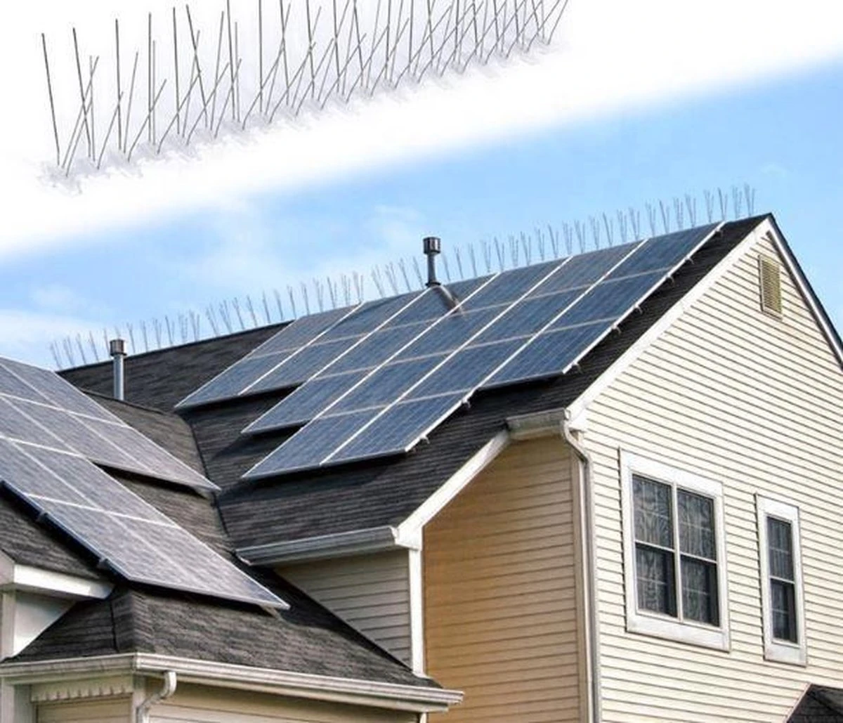 Duivenpinnen inclusief bevestigingstape - vogelpinnen - meeuwenpinnen - 25 centimeter breed - alle ondergronden Merkloos Duivenpinnen Inclusief Bevestigingstape - Vogelpinnen - Meeuwenpinnen - 25 Centimeter Breed - Alle Ondergronden -Tuinverzorgings Winkel 1200x1029 4