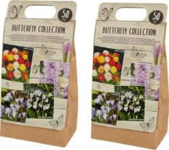 Bloembollen Mix | 100 Stuks - Mix | Dahlia, Hyacint, Gladiool