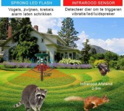 Valhalla NL - Kattenverjager - Ongedierte Verjager - Outdoor - Kunststof - Groen - 16x13x11 Cm 11 Valhalla NL - Kattenverjager - Ongedierte Verjager - Outdoor - Kunststof - Groen - 16x13x11 Cm -Tuinverzorgings Winkel 1200x1076 4