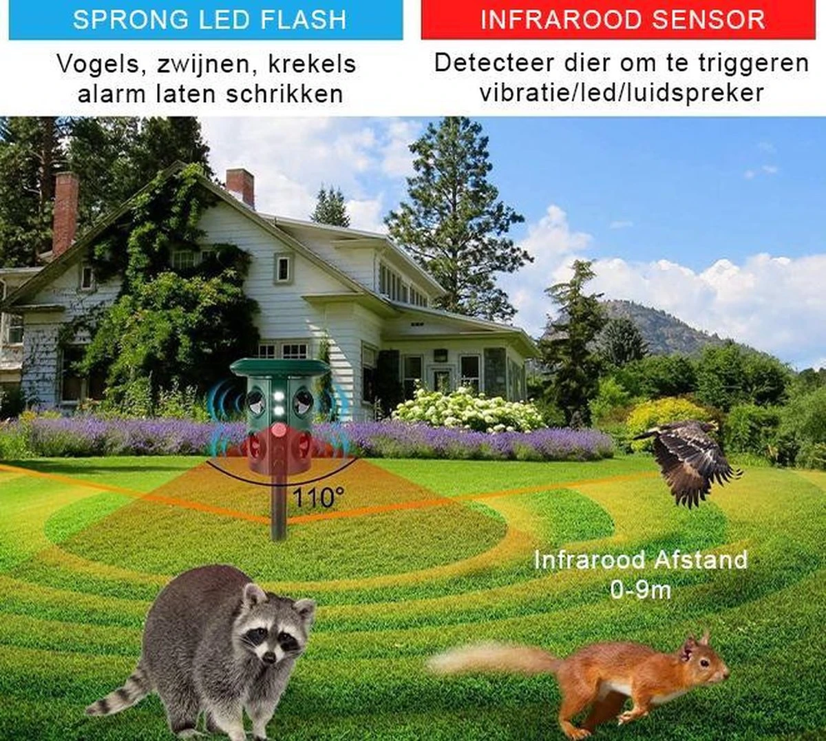 Valhalla NL - Kattenverjager - Ongedierte verjager - Outdoor - Kunststof - Groen - 16x13x11 cm Valhalla NL - Kattenverjager - Ongedierte Verjager - Outdoor - Kunststof - Groen - 16x13x11 Cm -Tuinverzorgings Winkel 1200x1076 4