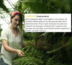 Gele Lijmvallen 20 Stuks Vangplaten, Vangkaarten Tegen Insecten Zoals Rouwvliegjes, Trips, Witte Vlieg, Bladluis En Mineervliegen Geschikt Voor Binnen, Buiten, Kweektent Of Kas -Tuinverzorgings Winkel 1200x1083 2