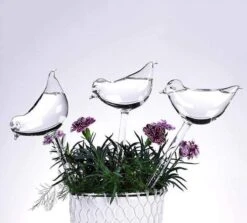 Waterdruppelaar Planten - Vorm Vogel - Set Van 3 Kunststof Druppelaars - 25cm Lengte - Genoeg Water Tijdens Je Vakantie 3 Waterdruppelaar Planten - Vorm Vogel - Set Van 3 Kunststof Druppelaars - 25cm Lengte - Genoeg Water Tijdens Je Vakantie -Tuinverzorgings Winkel 1200x1084 6
