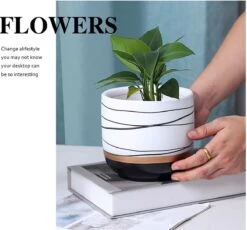 Bloempotten Binnen - Keramiek - Gouden Rand - Bloempot Buiten - Afvoergat 24 Cm - Groen – Groot -Tuinverzorgings Winkel 1200x1118 8