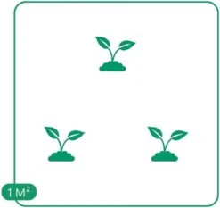 GP 12 X Prachtriet Gracillimus - Winterhard Siergras - Miscanthus Sinensis 'Gracillimus' In 9x9cm Pot Met Hoogte 5-10cm -Tuinverzorgings Winkel 1200x1130 5